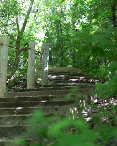 parc_naturel_terra_cotta_1