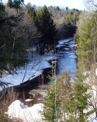 Parc régional de la rivière Gentilly