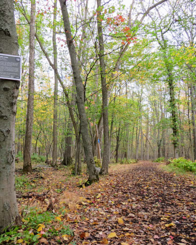 parc_regional_de_longueuil_1_a