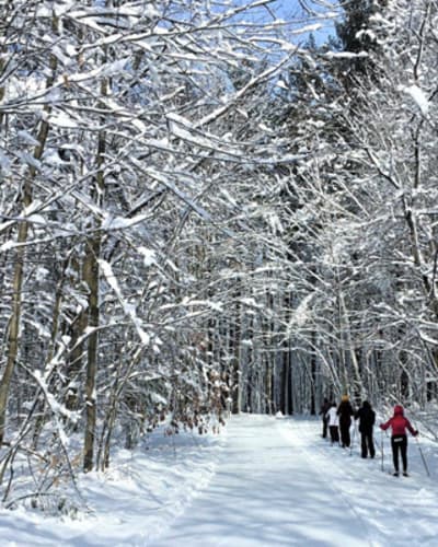 parc_regional_des_greves_1_h