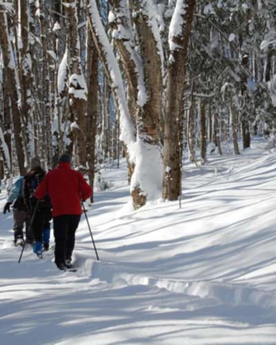 parcours_de_la_vallee_missisquoi_nord_1_h