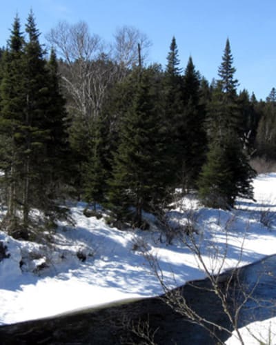 parcs_regionaux_de_la_matawinie_1_h