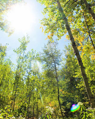 parcs_regionaux_du_quebec_1