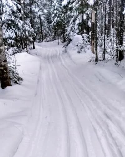ski_de_fond_leoski_1_h