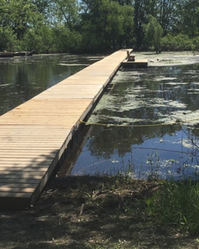 societe_de_conservation_dinterpretation_et_de_recherche_de_berthier_et_ses_iles_1