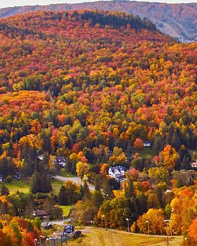 Sommet Saint-Sauveur fall foliage