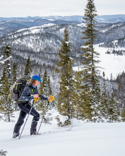 Région de Saguenay—Lac-Saint-Jean