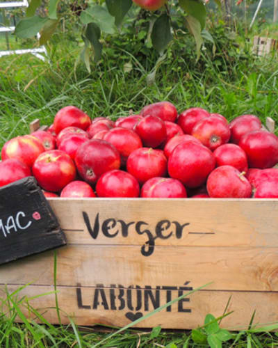 Verger Labonté