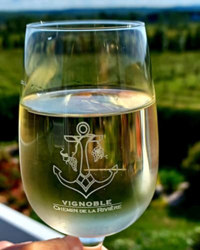 vignoble_chemin_de_la_riviere_1