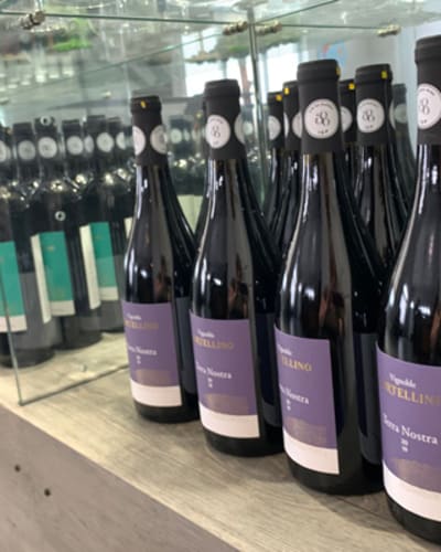 vignoble_cortellino_1