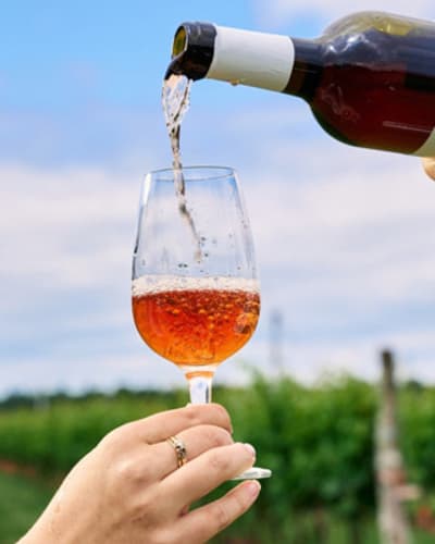 vignoble_de_lavoie_poitevin_1