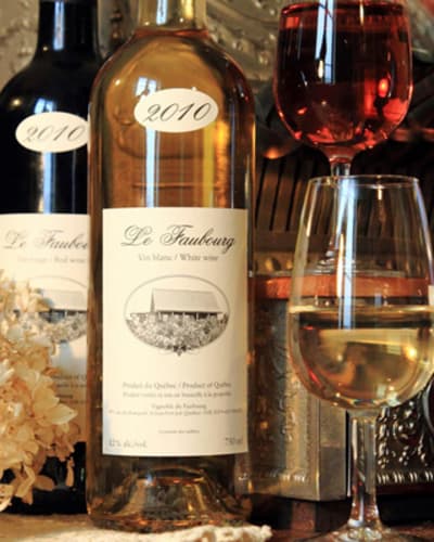 vignoble_du_faubourg_1