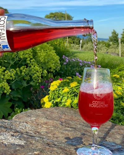 vignoble_et_cidrerie_coteau_rougemont_1