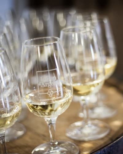 vignoble_le_cep_dargent_1_h