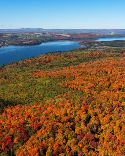 visite_des_parc_nationaux_du_bas_saint_laurent_1_a