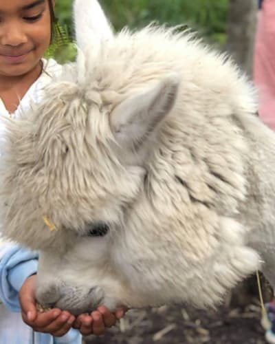 zoo_animation_estrie_1