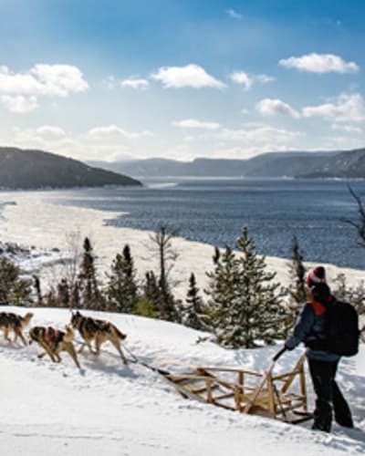 Dog sledding