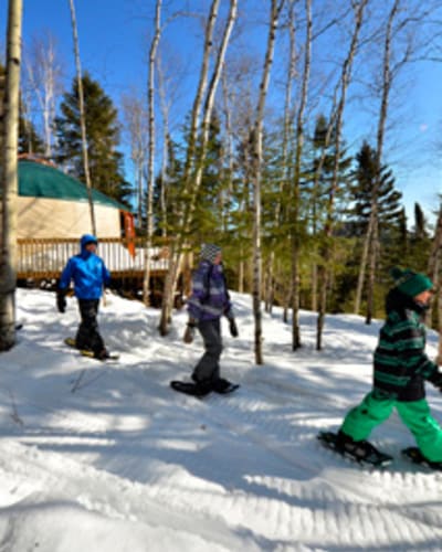 Guided snowshoe hike with lunch