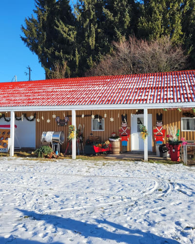 Shop, Plantation des Noëls d'antan.