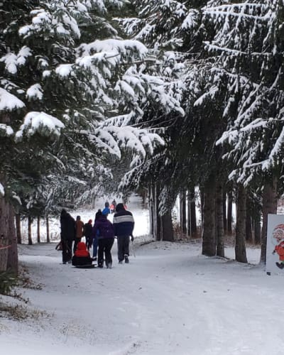 Family walk in the forest. 