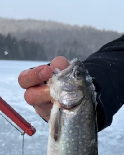 Ice fishing at Pourvoirie Légendes des Bois Outfitter.