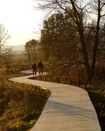 Deux personnes sur le sentier en passerelle en bois.