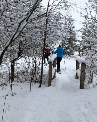 Randonnée en raquette à la Réserve naturelle Boisé des Douze.