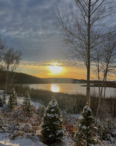 Sapins de Noël Rouyn-Noranda.