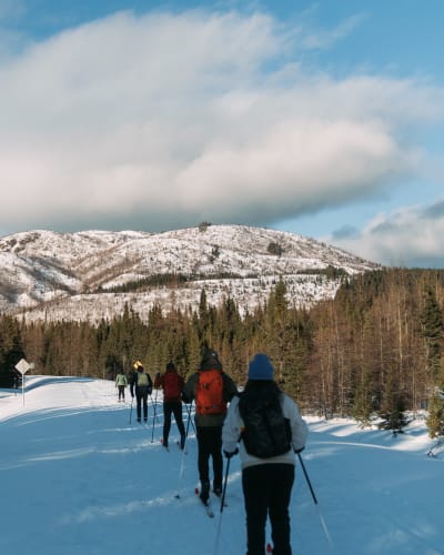Cross-country skiing in Parc national des Grands-Jardins, in the Mountains Sector.