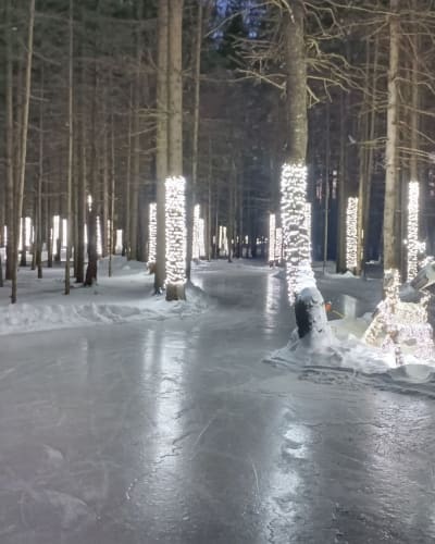 A skating trail through the forest of Lac-Simon.
