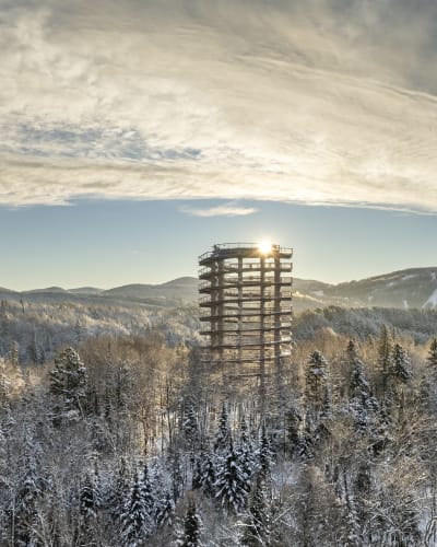 Walk above the trees this winter!