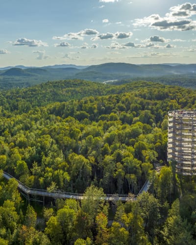 Laissez-passer familial