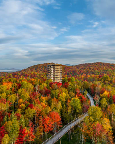 L'Odyssée des couleurs 