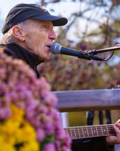 Terrasse en musique