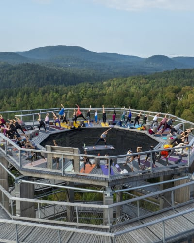 Yoga - Mother's Day Edition