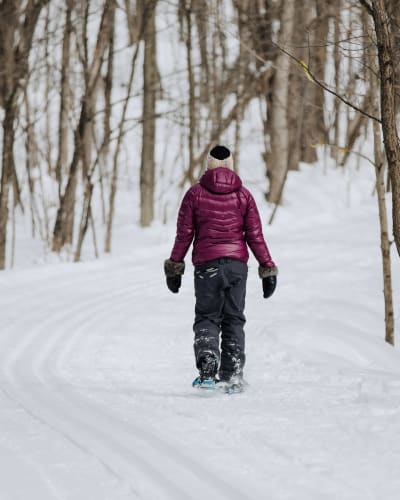 Snowshoe hike on the Sentiers les Renards Blancs.