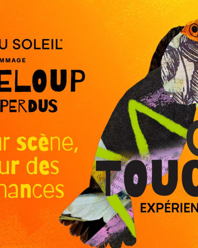 Immersive experience | NOS CENTS TOUCANS