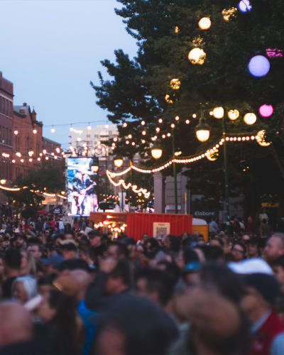 Crowd at Festival Sherblues.