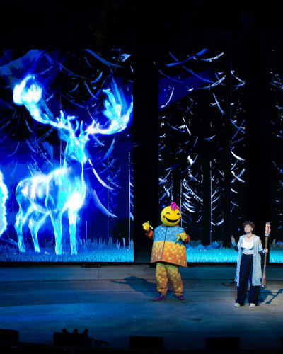 Le spectacle nocturne Ilia.