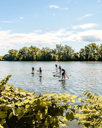 Summer SUP lessons on the river. 