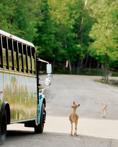 Expérience Oméga guidée