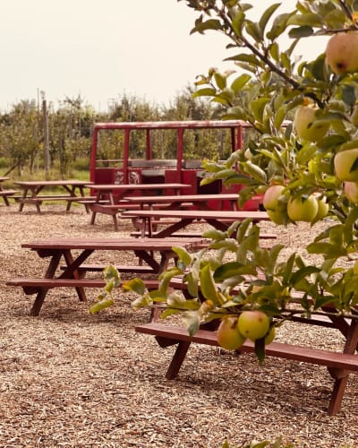 Verger Trois Pommes – Biologique.