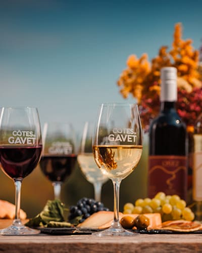 Dégustation de vin au Vignoble Les Côtes du Gavet.