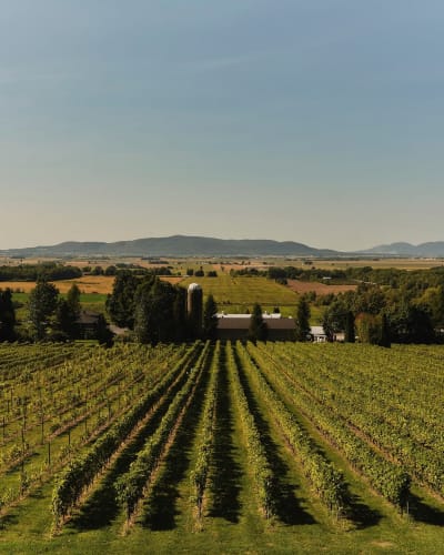 Domaine Les Petits Cailloux.