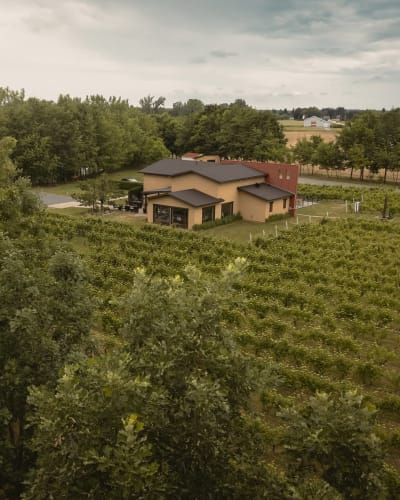 Saint-Thomas Vineyard.