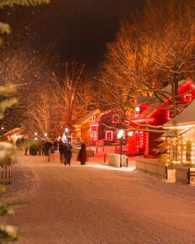 Village Québécois d'Antan