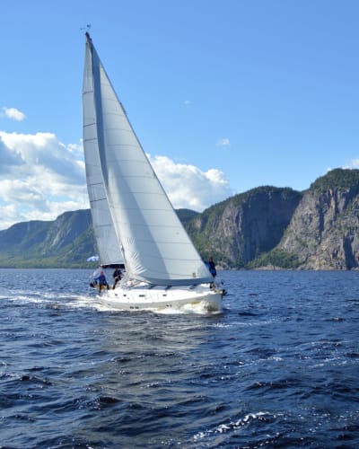 Voile Mercator.