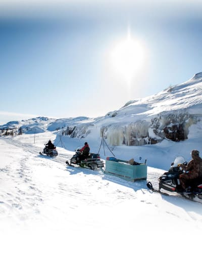 Snowmobile ride.