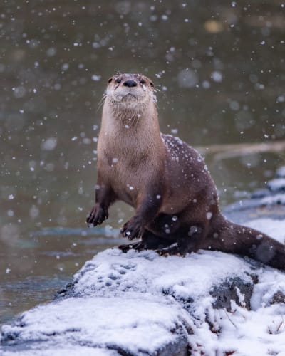 Sunday at the museum