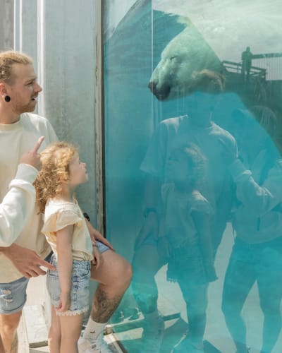 family at the zoo.